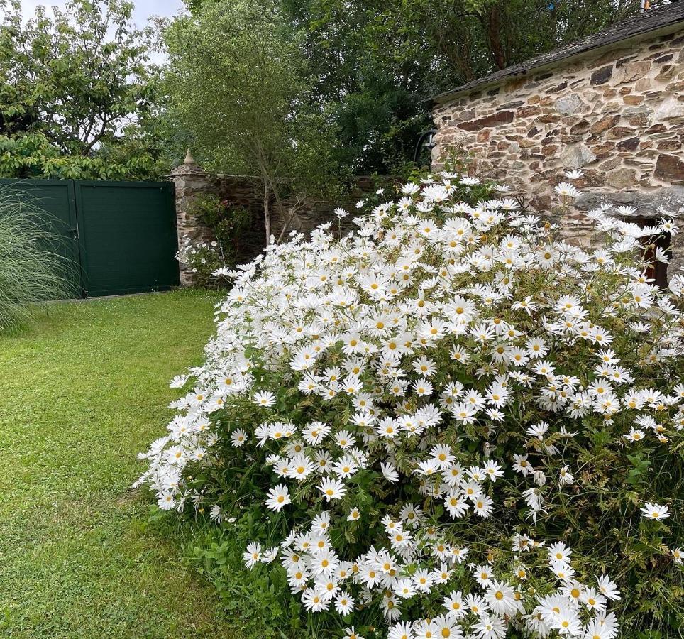 Apartamento Turistico Con Precioso Jardin - Los Gayoles Rural Castropol Exterior photo